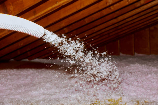 Best Attic Insulation Installation  in Lebanon Junction, KY