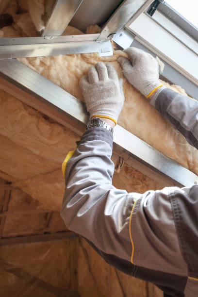 Best Attic Insulation Installation  in Lebanon Junction, KY